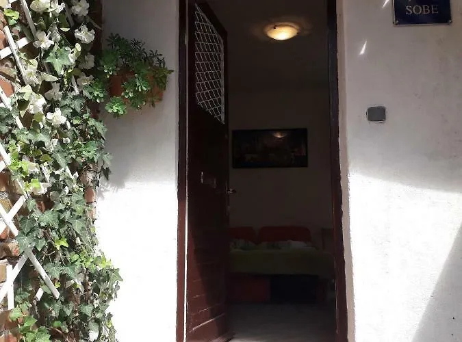 Apartman Cozy Studio/room *